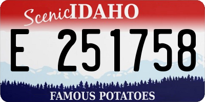 ID license plate E251758