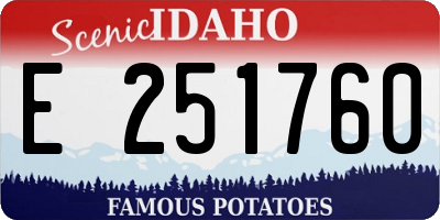 ID license plate E251760