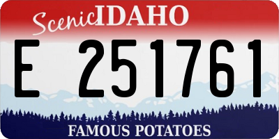 ID license plate E251761