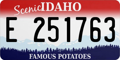 ID license plate E251763