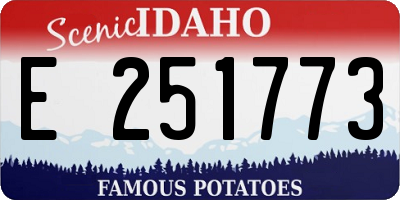 ID license plate E251773