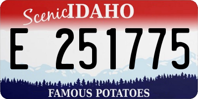ID license plate E251775