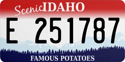 ID license plate E251787