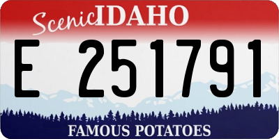 ID license plate E251791