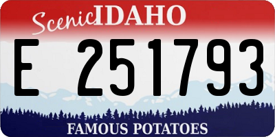 ID license plate E251793
