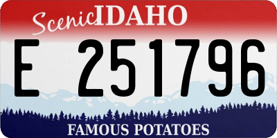 ID license plate E251796