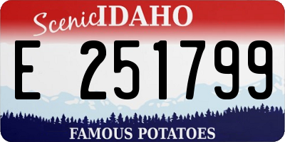 ID license plate E251799