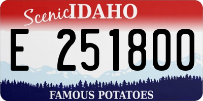 ID license plate E251800