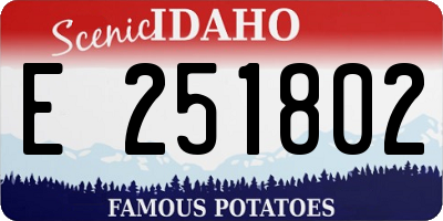 ID license plate E251802