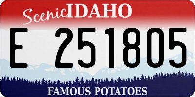 ID license plate E251805