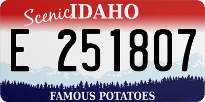 ID license plate E251807