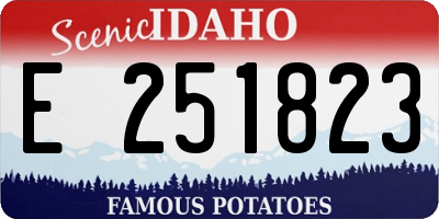 ID license plate E251823