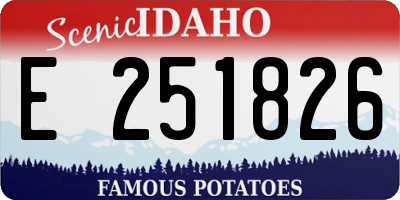 ID license plate E251826
