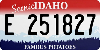 ID license plate E251827
