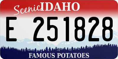 ID license plate E251828