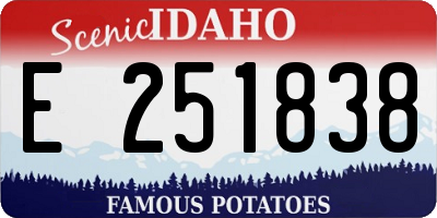 ID license plate E251838