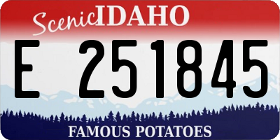 ID license plate E251845