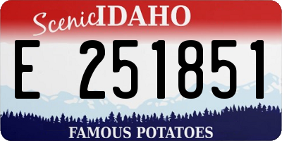 ID license plate E251851