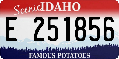 ID license plate E251856