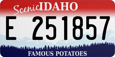ID license plate E251857