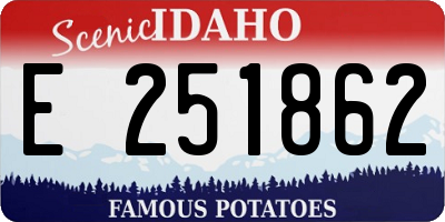 ID license plate E251862