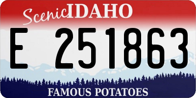 ID license plate E251863
