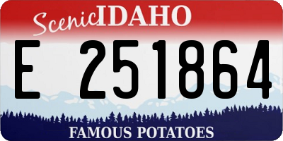 ID license plate E251864