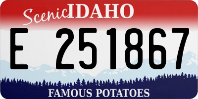 ID license plate E251867