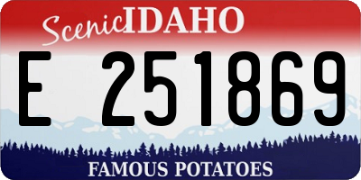 ID license plate E251869