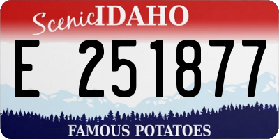 ID license plate E251877