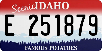 ID license plate E251879