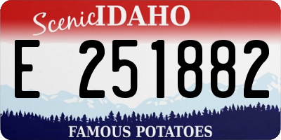 ID license plate E251882