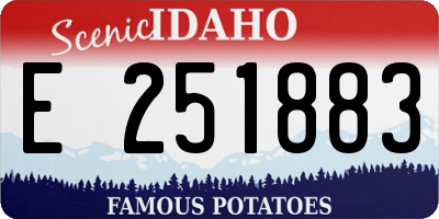 ID license plate E251883