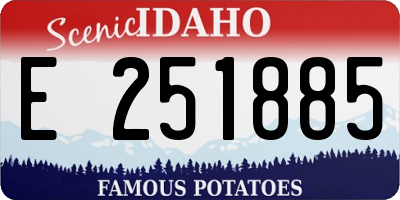 ID license plate E251885