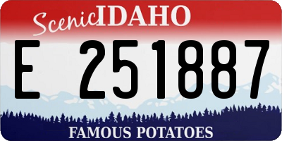 ID license plate E251887