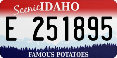 ID license plate E251895