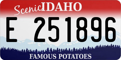 ID license plate E251896