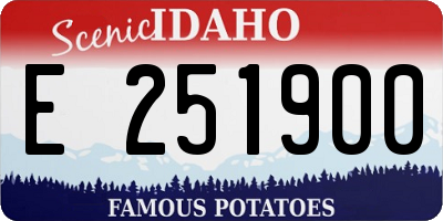ID license plate E251900