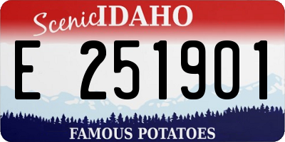 ID license plate E251901