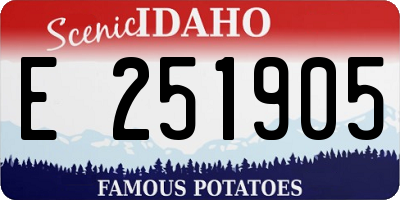 ID license plate E251905