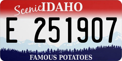 ID license plate E251907