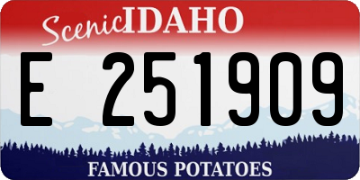ID license plate E251909