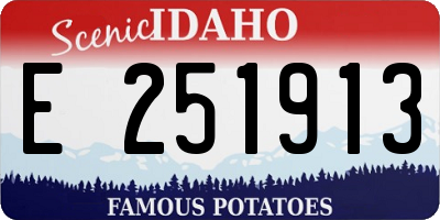 ID license plate E251913