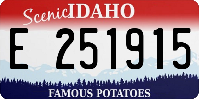 ID license plate E251915