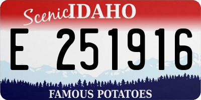 ID license plate E251916