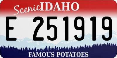 ID license plate E251919