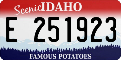 ID license plate E251923