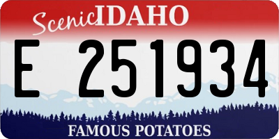 ID license plate E251934