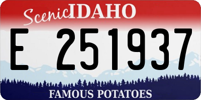 ID license plate E251937