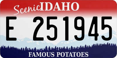 ID license plate E251945